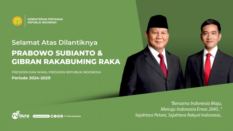 First slide